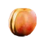 Apricot